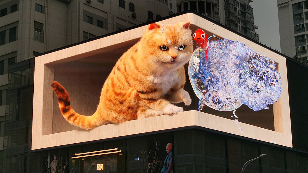 A 3D cat show in Wuhan