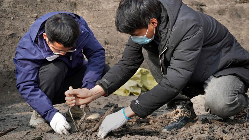 Archaeologists uncover branches at relic site in central China's Henan
