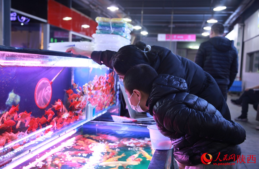 In pics: Markets bustle in Xi'an as Spring Festival draws near