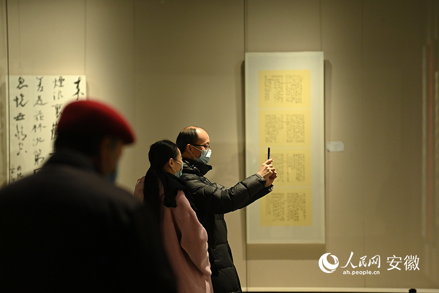 Citizens enjoy cultural feast at art museum in E China's Suzhou during Spring Festival holiday