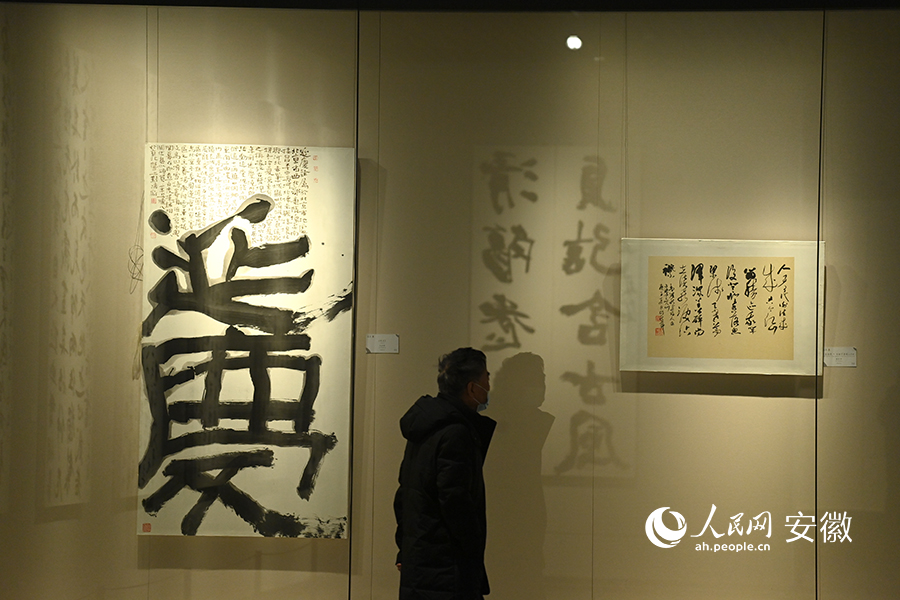 Citizens enjoy cultural feast at art museum in E China's Suzhou during Spring Festival holiday