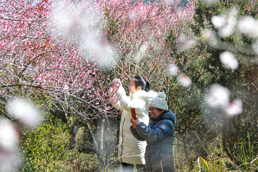 Tourists admire blossoming flowers in E China's Jiangxi
