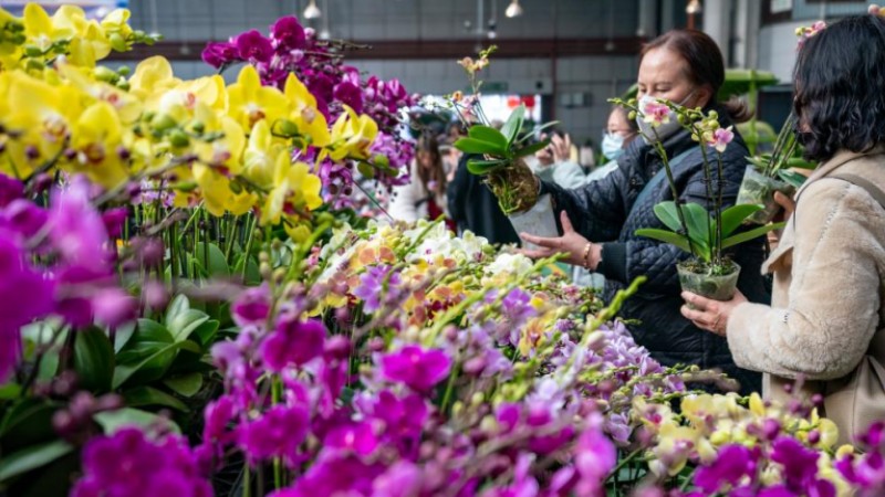Kunming Dounan Flower Market, largest fresh cut flower trading market in Asia