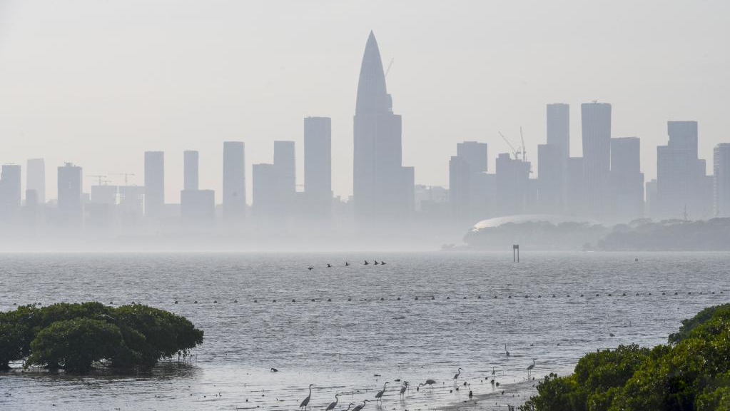Shenzhen strives to build itself into international wetland city
