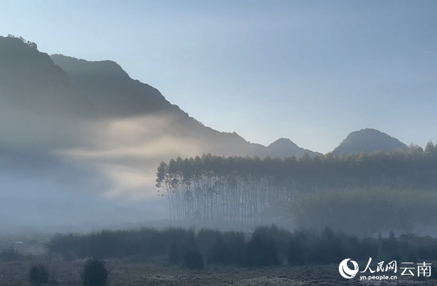 In pics: Picturesque misty scenery of Ning'er county, SW China's Yunnan