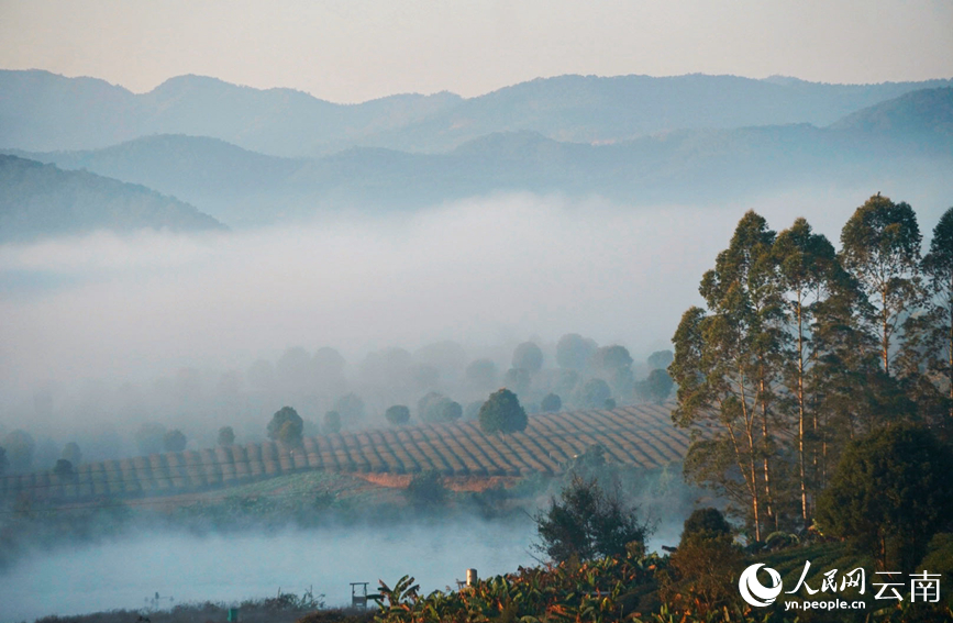 In pics: Picturesque misty scenery of Ning'er county, SW China's Yunnan