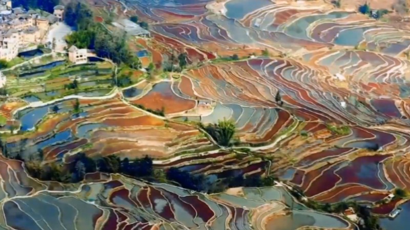 Colorful Hani terraced fields