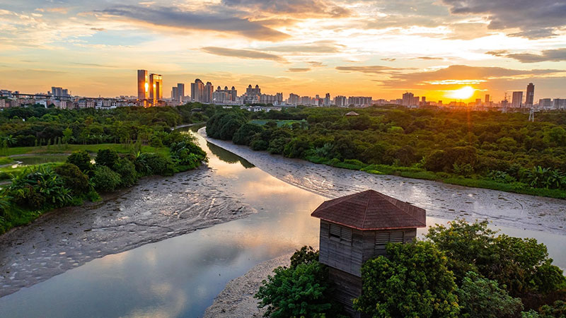 Glimpse of Haizhu Wetland on central axis of Guangzhou, S China
