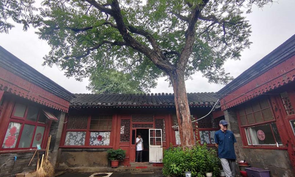 Renovated Beijing hutongs shine with ancient charm