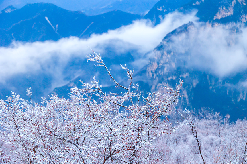 Gorgeous rime scenery of Yuntai Mountain in C China's Henan