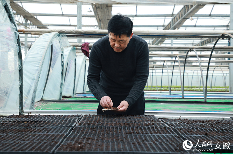 Expert helps farmers in E China’s Anhui increase incomes