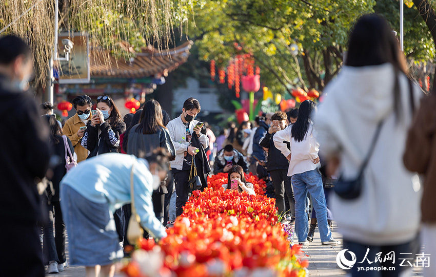 In pics: Over 80,000 tulips bloom in Kunming, SW China