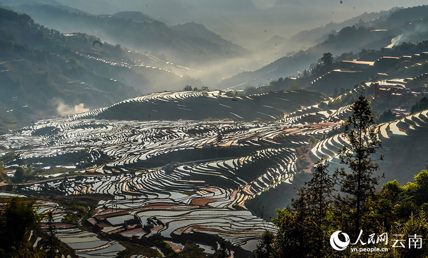 Spring farming gets going on SW China's Yunnan rice terraces