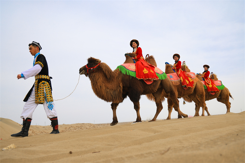 Bohu county in NW China's Xinjiang sees a boom in desert tourism