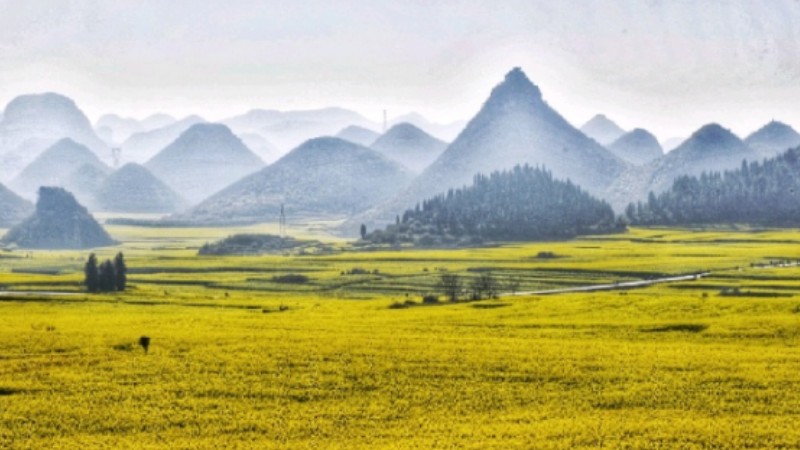 Zigzag walk up mountain rewarded with sweeping views of rapeseed flowers