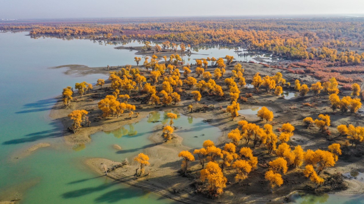 Xinjiang's Aksu builds "green miracle" on Gobi Desert
