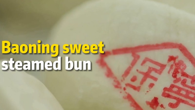 Baoning sweet steamed bun: Time-honored staple food flourishes in SW China's Sichuan