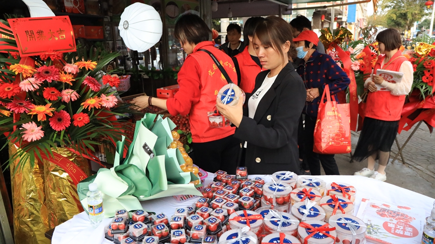 Cherry tomatoes increase incomes for growers in S China's Hainan