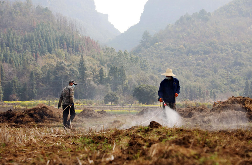 Village in S. China's Guangxi reclaims over 100 mu of abandoned farmland
