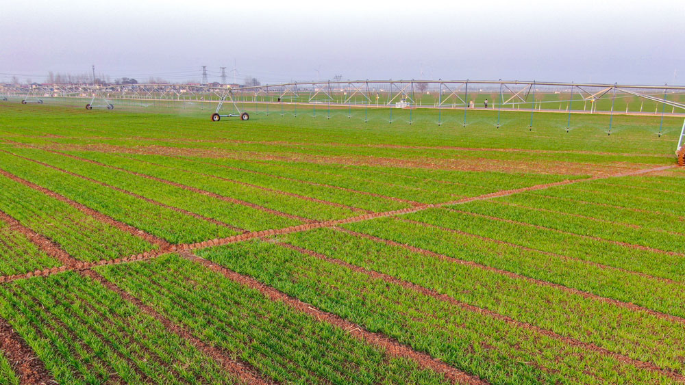 Smart agriculture platform facilitates farming in China’s Henan