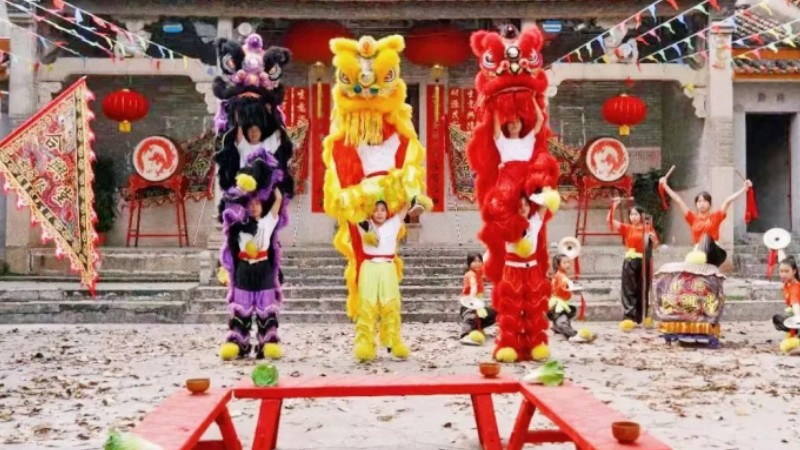 Girls' lion dance team earns acclaim by inheriting traditional performance art in S China's Guangzhou