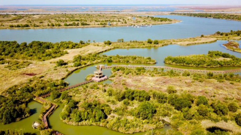China’s Dongying city sees ecological improvements in Yellow River Delta