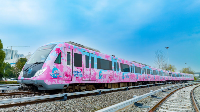 Cherry blossom-themed metro trains make debut in Wuhan, C China's Hubei