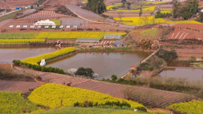 View of farmlands in Rongxian County, SW China's Sichuan