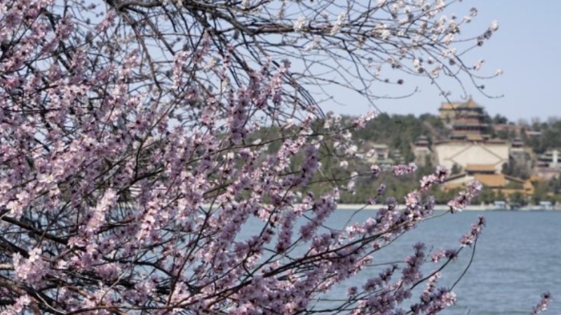 Scenery of Summer Palace in Beijing