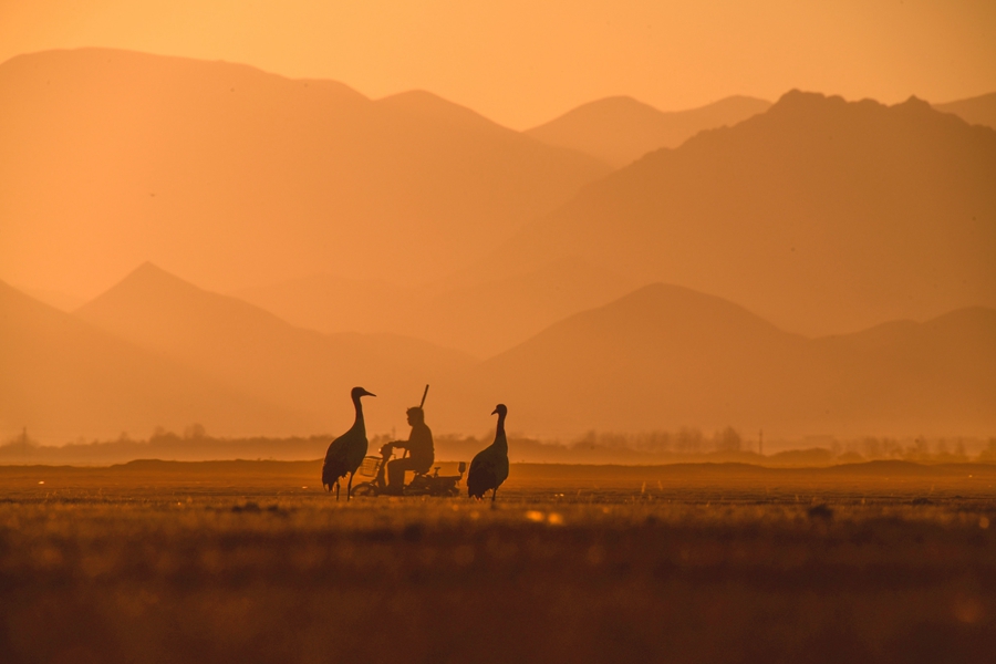 Third China's Xizang Internet Photography & Video Festival unveils excellent photos