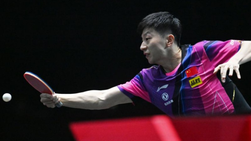 Highlights of World Table Tennis Singapore Smash