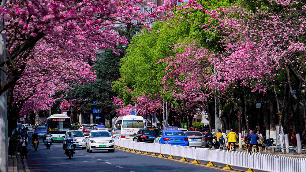 China's urbanization ushers in new stage