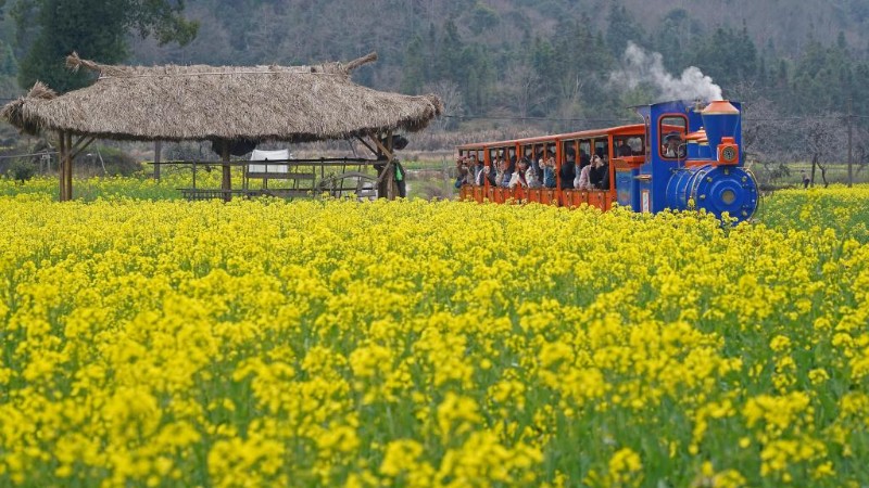 Tours turn flowers into wealth in rural areas