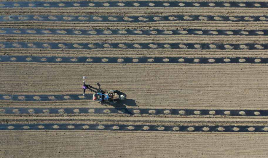 High-tech in spring farming helps boost yield in China