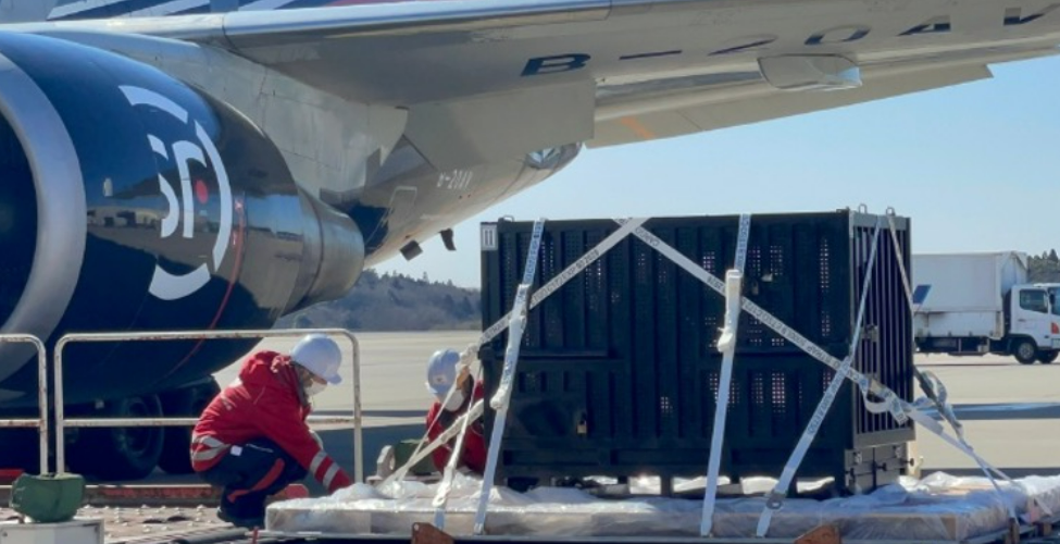 Chinese courier industry sees rapid improvement in service capability