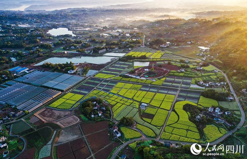 SW China’s Luzhou turns agricultural bases to tourist sites