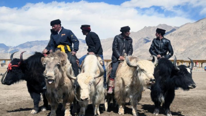 Goat grabbing competition held to greet start of spring in Xinjiang