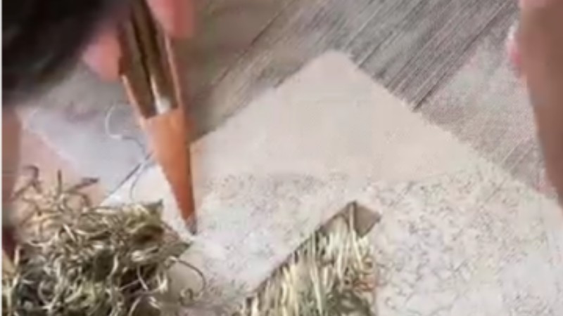 Chinese traditional silk weaving: Art of 'kesi'