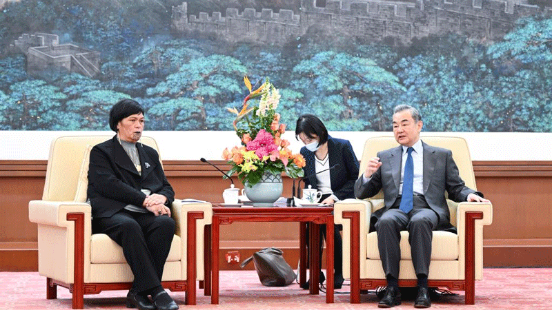 Senior Chinese diplomat meets with New Zealand FM
