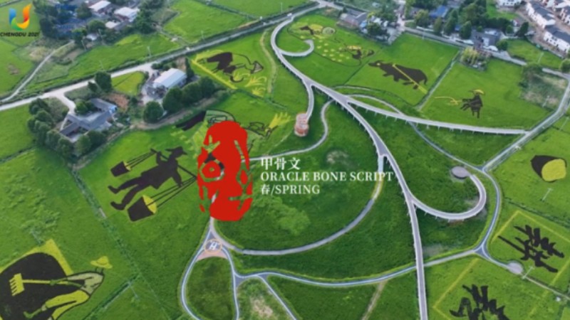 Video released for Chengdu 2021 World University Games heads of delegation meeting