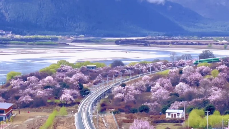 Train bound for spring