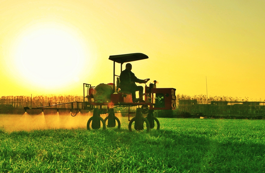 Farmers busy with spring farming in Zhecheng, C China's Henan