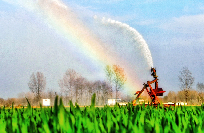 Farmers busy with spring farming in Zhecheng, C China's Henan