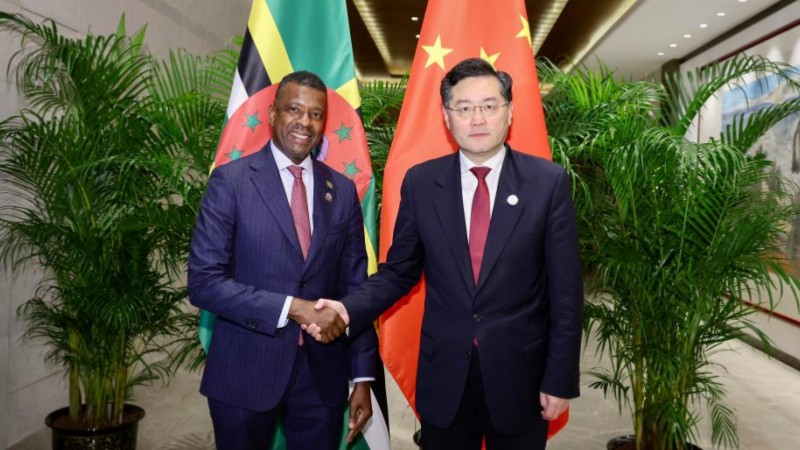 Chinese FM meets Dominican counterpart