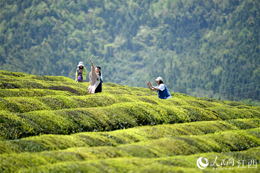 Village in E China's Jiangxi turns tea plantations into park