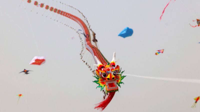 International Kite Festival attracts enthusiasts from around the globe