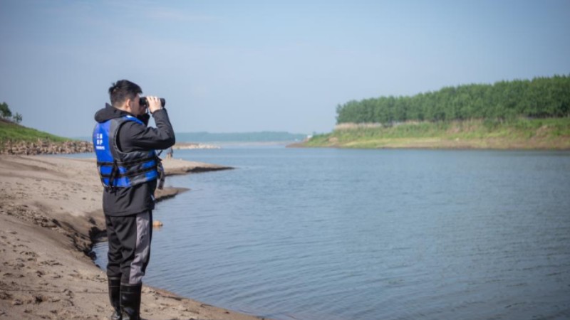 Relocated finless porpoises return home to Yangtze River