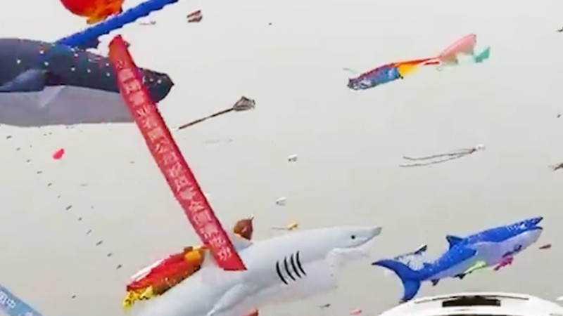 Innovative kites float above Weifang