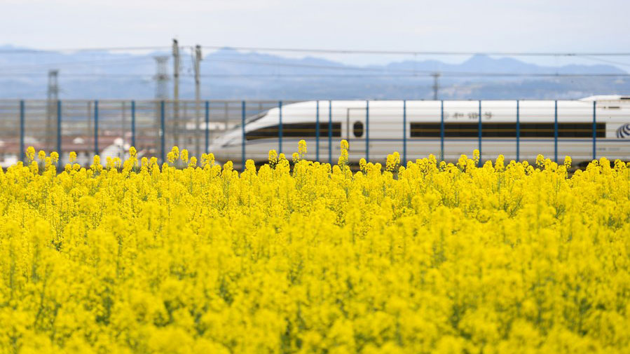 China expects 120 mln railway trips around May Day