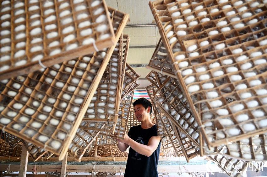 Silkworm industry enhances economic prosperity in SW China's Sichuan